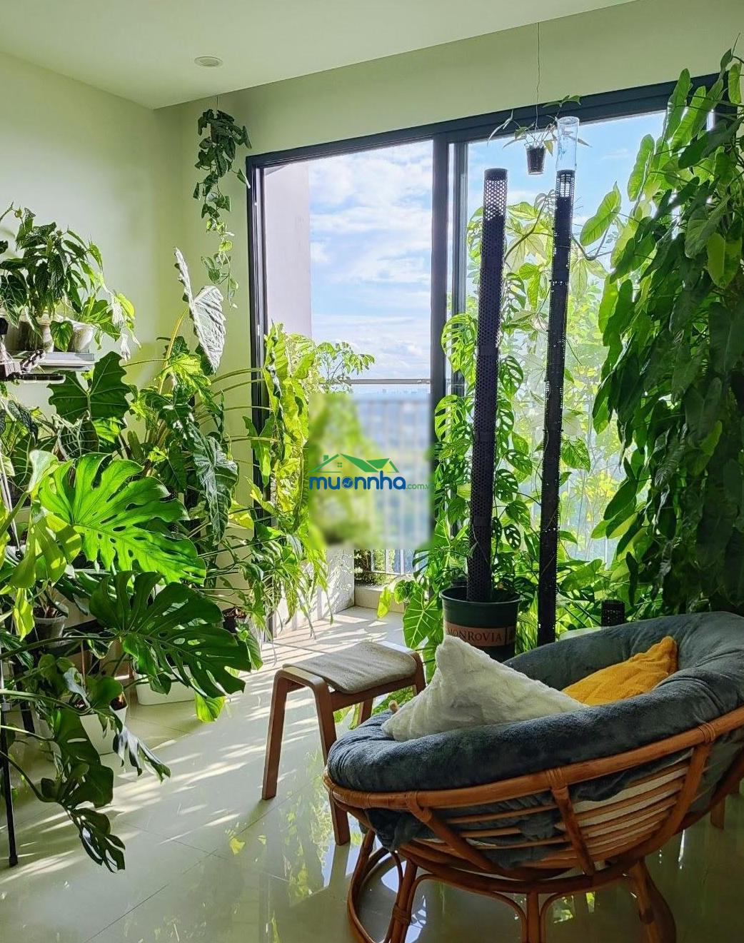 Vinhomes grand park - 2pn - view đẹp ngắm pháo hoa, hoàng hôn landmark81 - 360 không chắn!