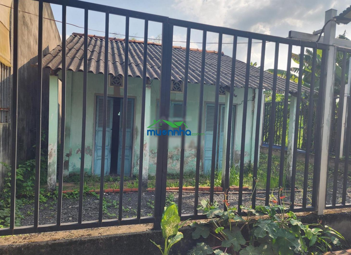 Nhà hẻm đường phước vào 150m, nhà nát diện tích rộng tiện xây mới. tặng kèm giấy phép xây dựng - 3