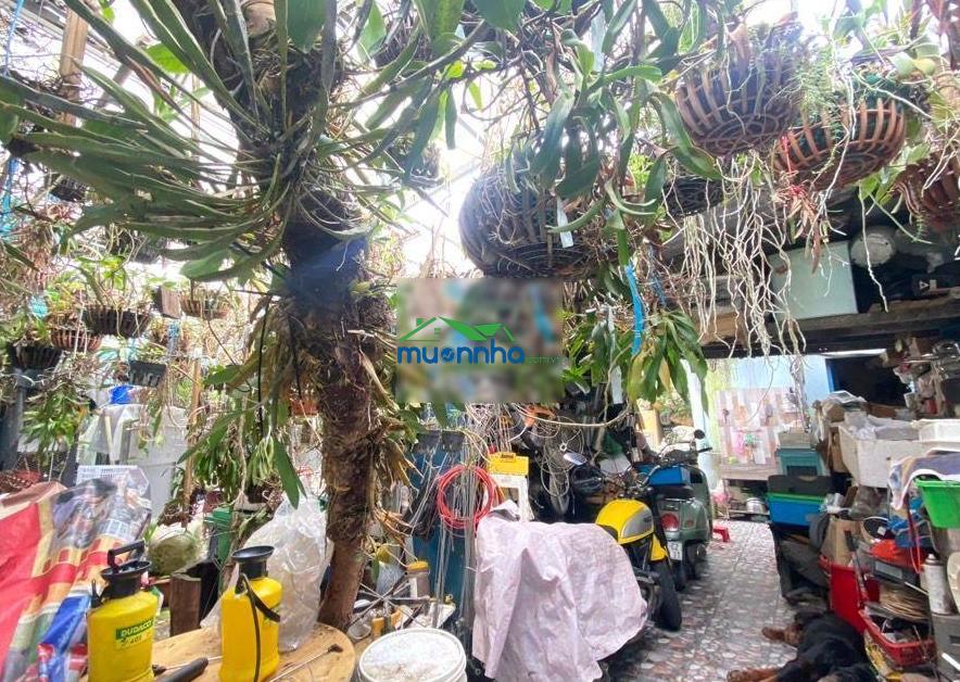 Nhà xây biệt thự vườn trung tâm quận 7, 142,3m2 chỉ 51tr/m2 ngang 11,5m, thực tế 14m giá nhỉnh 7 tỷ - 2