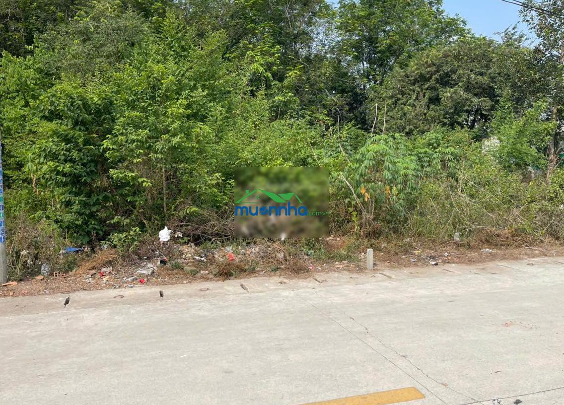 Chính chủ gửi bán đất 179m² full thổ cư - tân định 08, bắc tân uyên