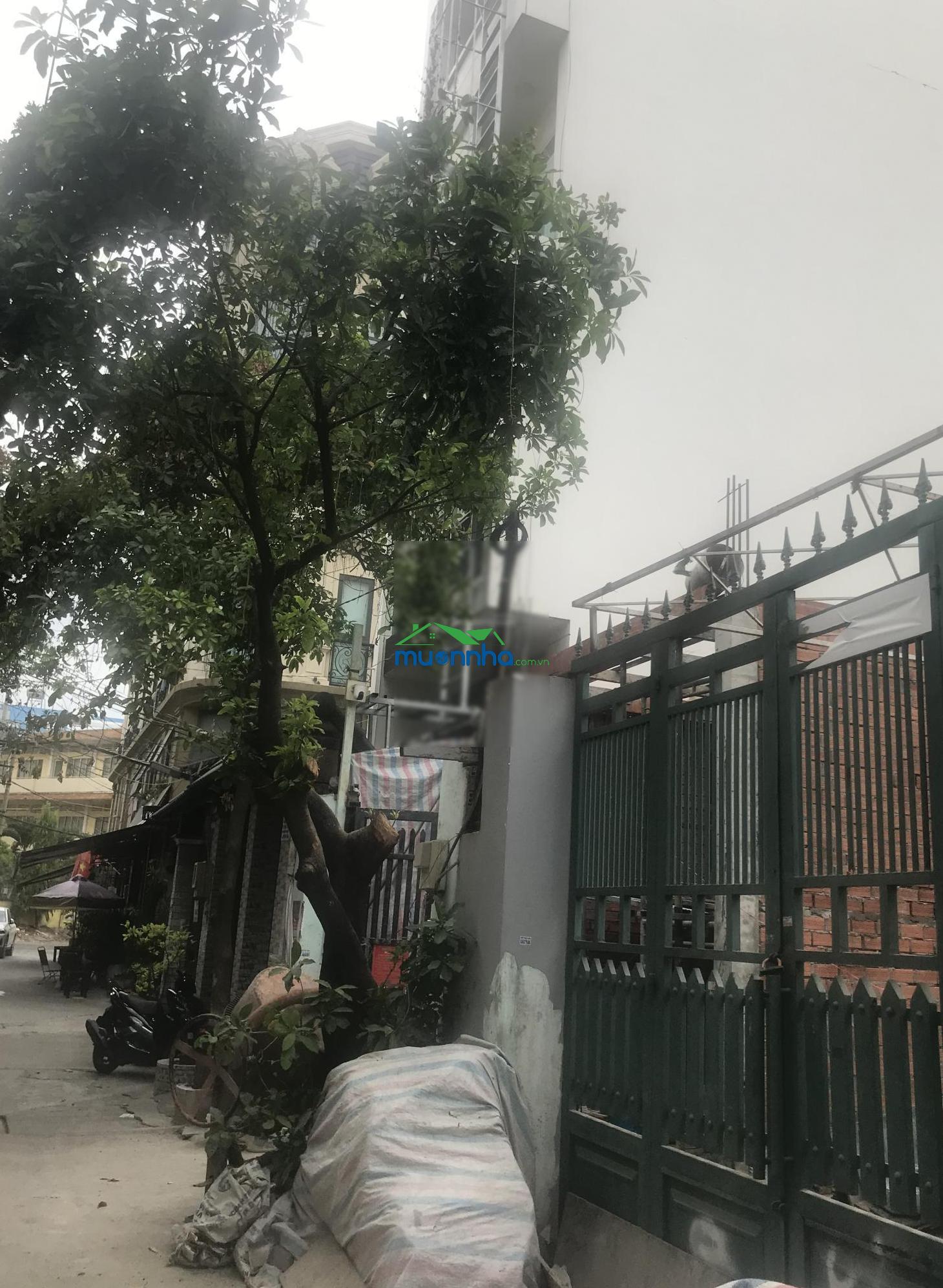 189/9 đường số 8, p17, gò vấp, 5x23m (tc: 115m2), c4, hẻm oto 5m, 8.5 tỷ - 2