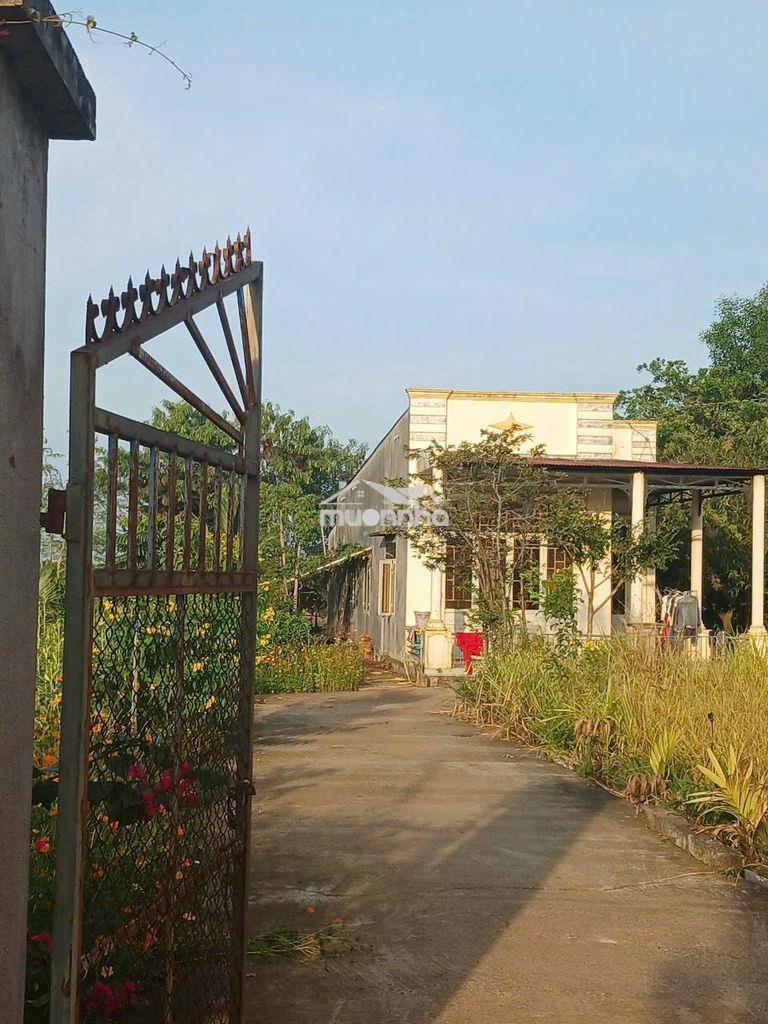 Cần bán lô đất xuân lộc, đồng nai, 6300m2( 40x160m),giá 4ty150 tl