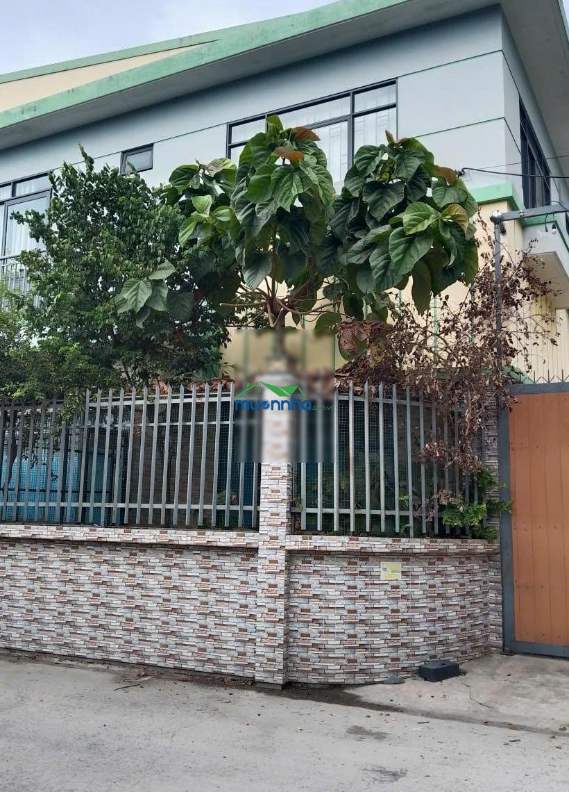 Bán gấp đất lớn full thổ cư có sẵn nhà giá cực tốt - củ chi - 2
