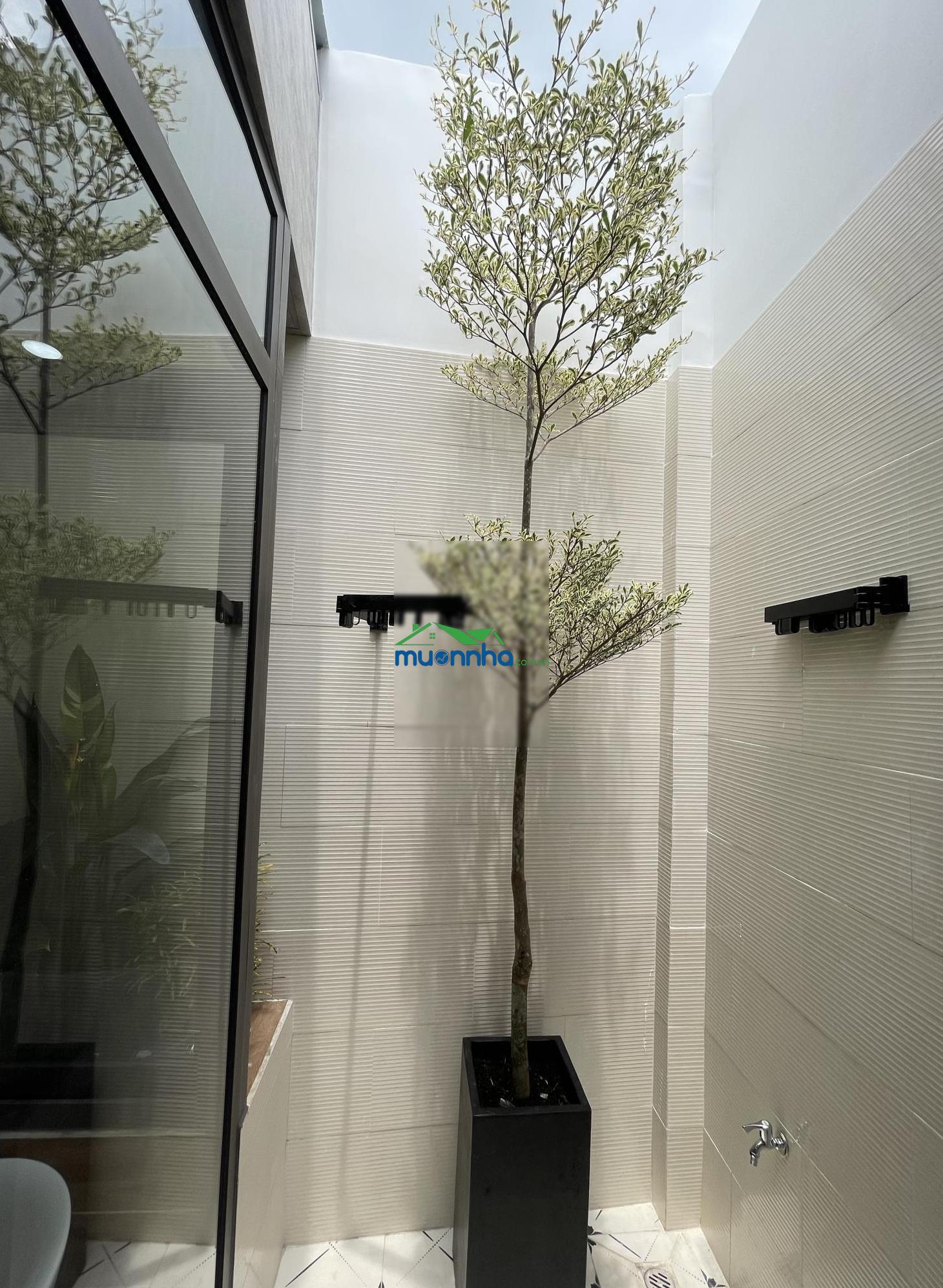 Siêu phẩm vị trí mt hẻm xe tải thông. khu cao cấp bậc nhất đoàn thị điểm. shr chuẩn đẹp mới - 2