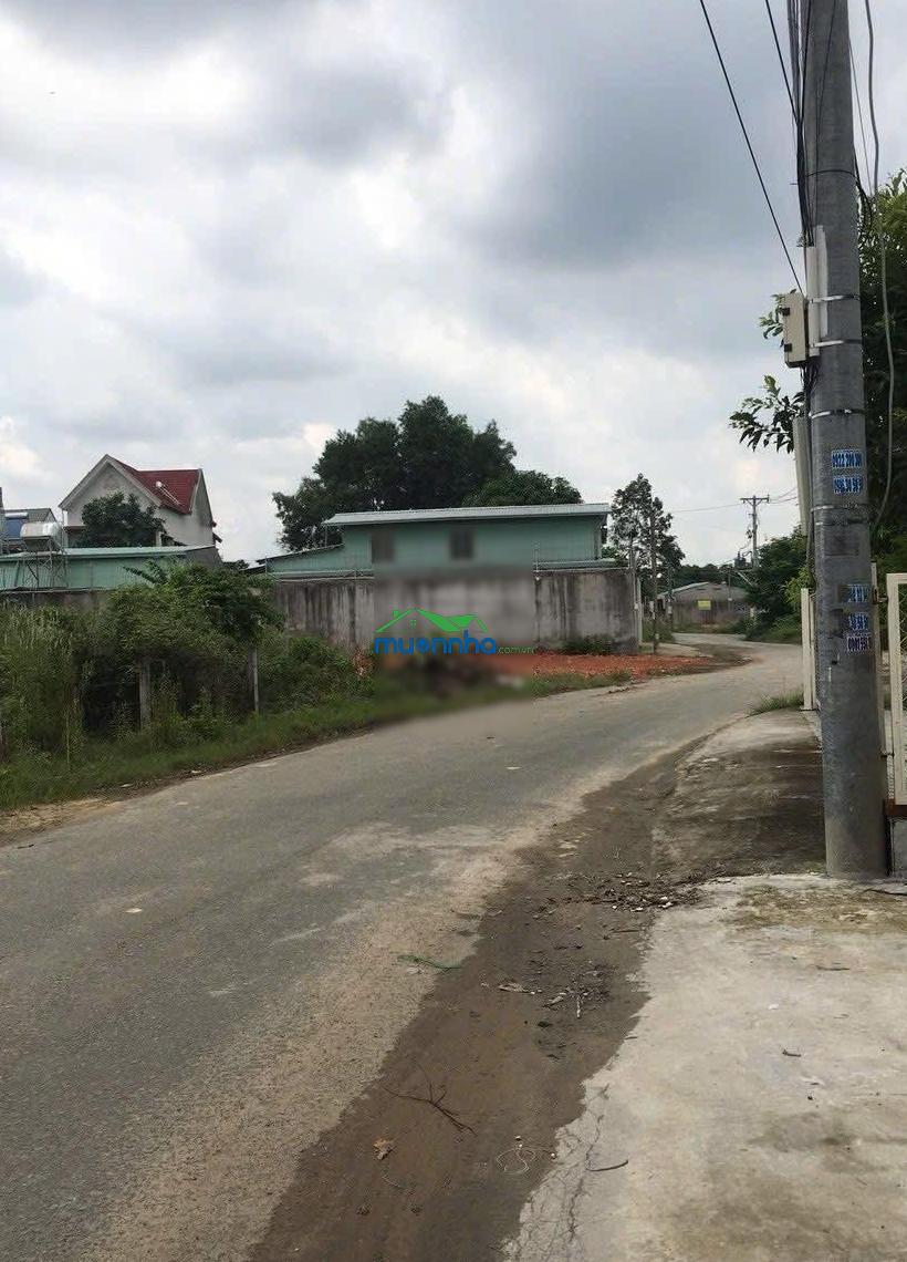 Cho thuê kho định hoà, thủ dầu một, bình dương. dt 12x53m có điện 3fa - 3