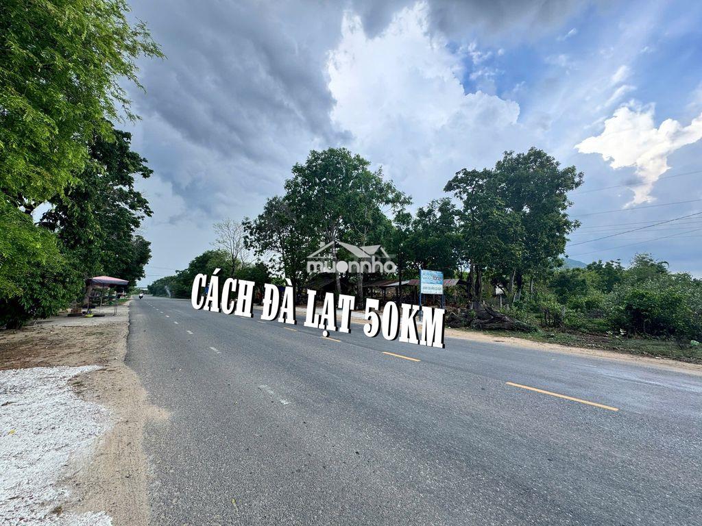 Bán đất mặt tiền quốc lộ 27a, ninh sơn, khánh hòa giá chỉ 620k/m2 - Ảnh 2