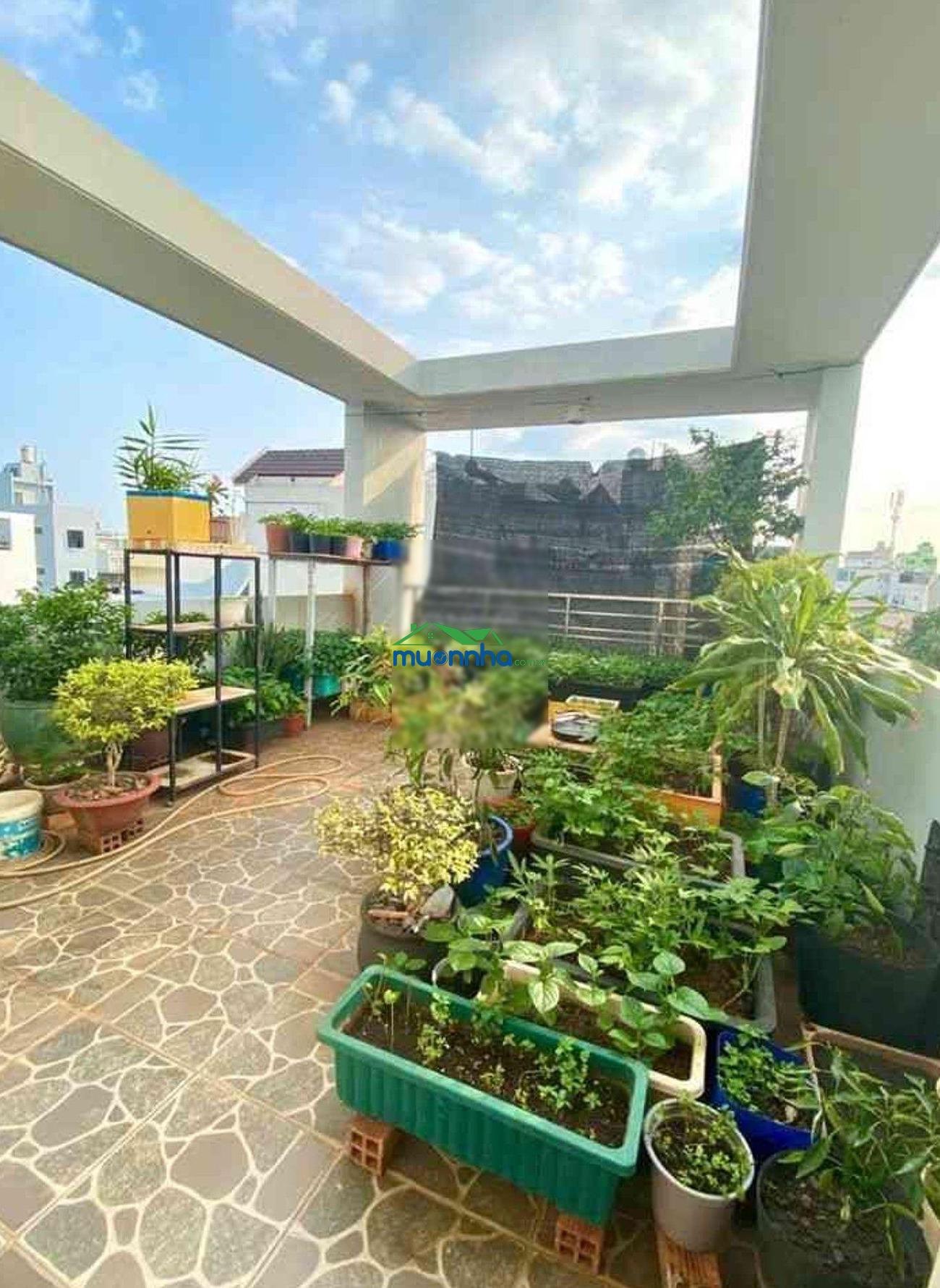Nhà chính chủ hxh 60m² x 4 tầng phạm văn chiêu gần quang trung gò vấp 7t15 - 2