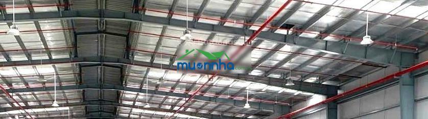 Nhà xưởng tổng 19.580m², cắt lẻ cho thuê từ 2000m² - 1ha, kế kcn sóng thần 1 2, vsip 1 thuận an - 2