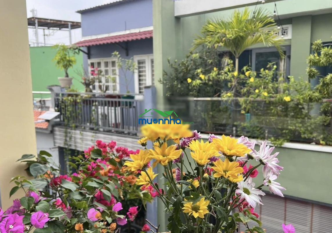 Bán nhà riêng đường gò dầu, tân phú, 6,3 tỷ, 41m2 view đẹp giá siêu hời giá tốt khu vực - 2