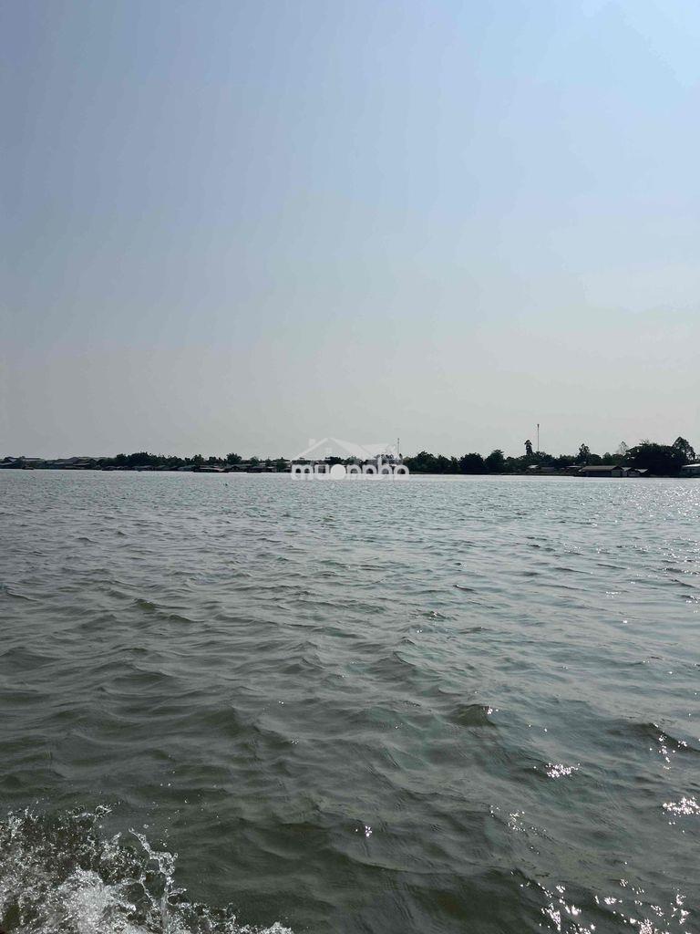 Cần bán 7000m2 đất lúa gần cầu cái đôi - 3