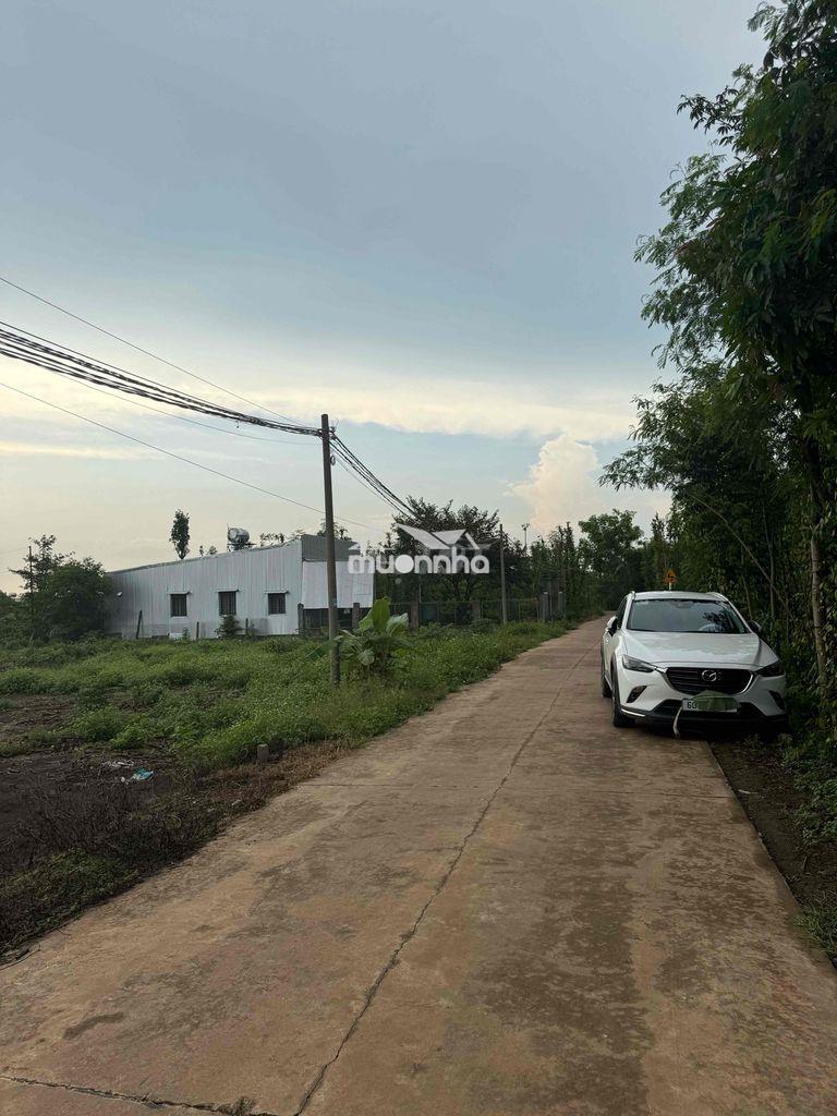 Kẹt tiền bán gấp 236m2 ngang 7m dài 34m, đồng nai, view núi chứa chan - 4
