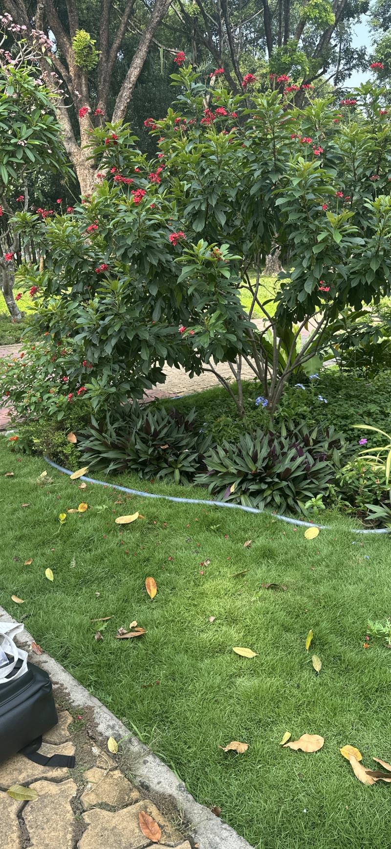 Chuyên cho thuê vinhomes 1-2-3-4pn căn vip, độc quyền, view sông, giá tốt gọi tôi nhé
