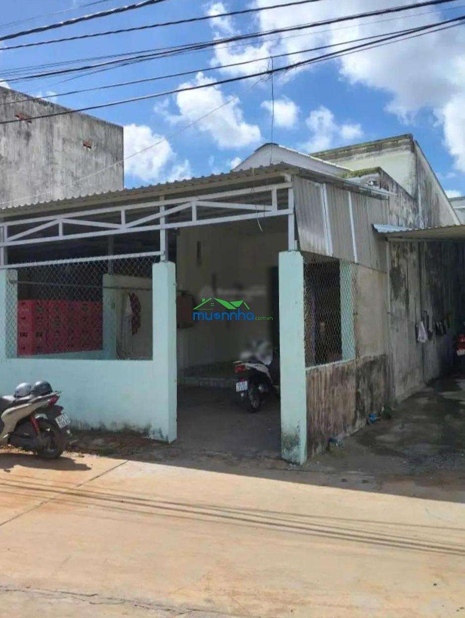 Bán đất tặng nhà nát cấp 4 đường bờ xe lam, tân kiên, bình chánh 110m2, đầu tư, làm kho, cải tạo ở