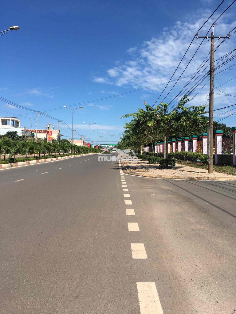Bán đất xuân đông cẩm mỹ - 2