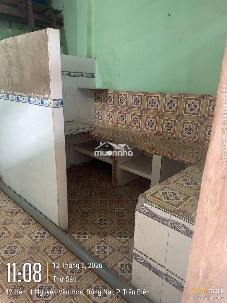 Cho thuê nhà nguyên căn phường thống nhất, biên hòa, đồng nai - 4