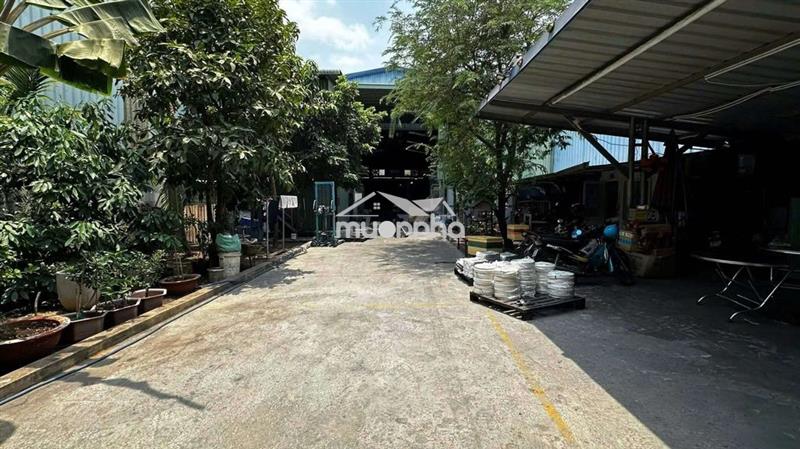 Nhà xưởng tân khánh – vị trí đẹp, xe container vào tận xưởng