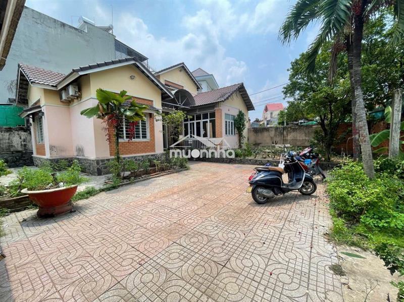 ✅✅Cho thuê nhà sân vườn 350m2 