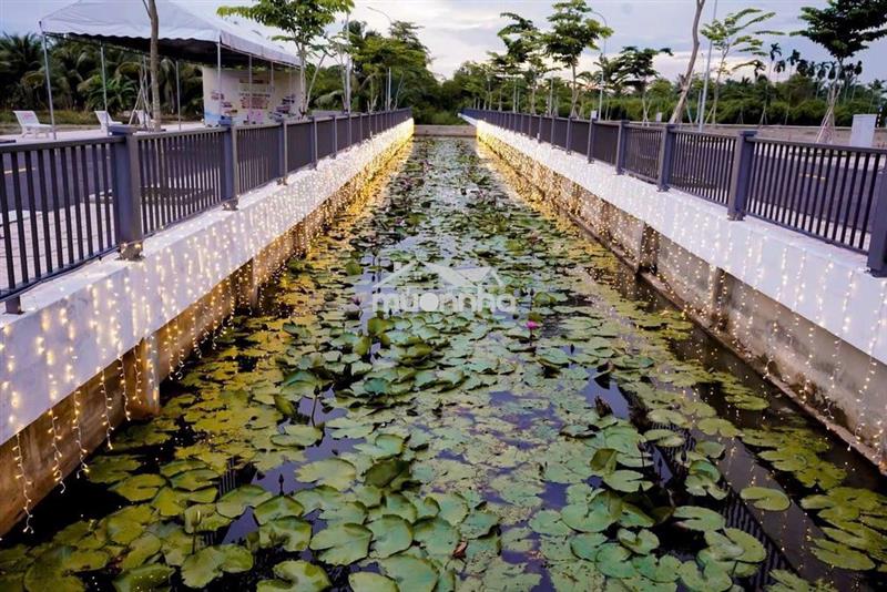 Khu dân cư phường ngã bảy