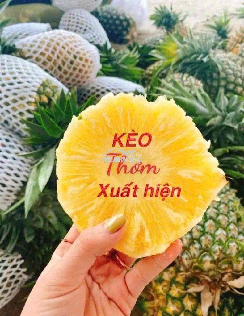 Nhà 100m2 cấp 4 mặt tiền hẻm  bông sao p5 q8