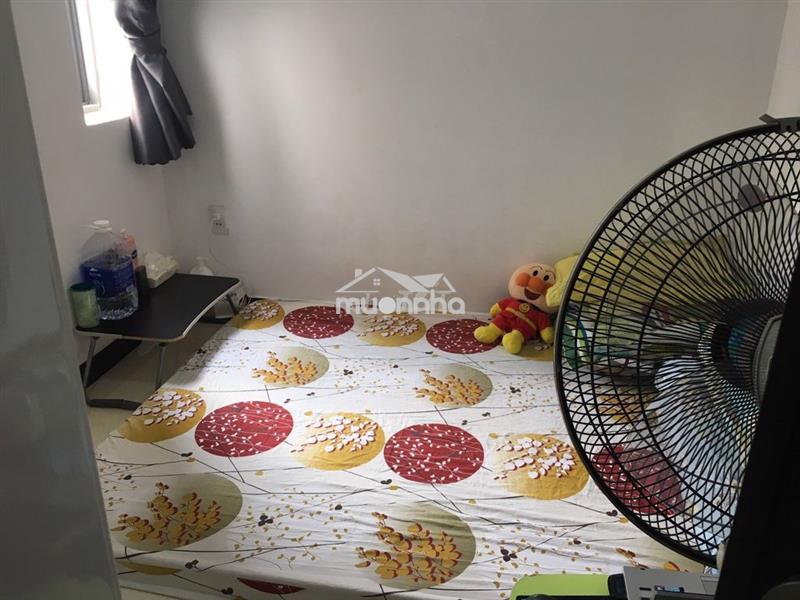 🏠 Cho thuê phòng trọ – gò vấp – gần sân bay tân sơn nhất 🏠