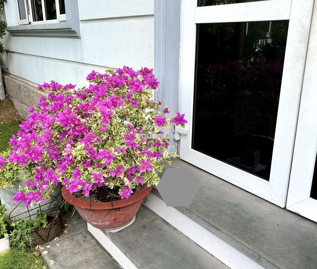 🛑Khoảng xanh bên trong thành phố 🛑 biệt thự vườn thủ đức garden homes - 3