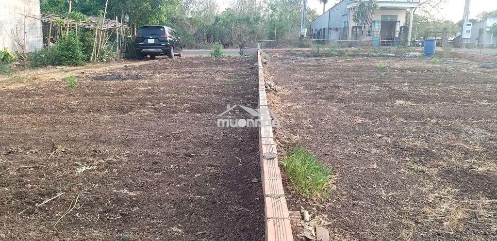 Đất thổ đẹp, xây nhà ngay - 3