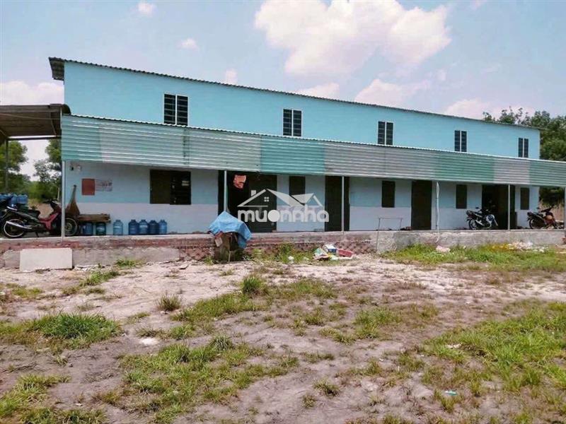 Bán dãy trọ 340m2 trừ văn thố bàu bàng, giá chảy nước mắt 