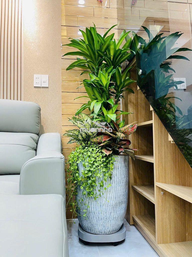 Cho thuê nhà mới full nt 17 triệu ,4m x 14m, 4 lầu, hẻm 5m lê đình cẩn - 2