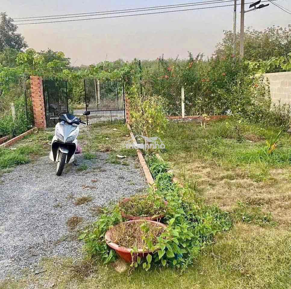 Đất vườn giá rẻ - 3