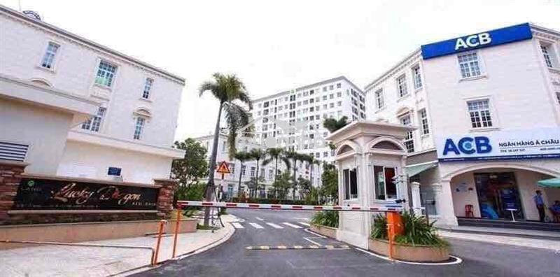 Lucky dragon 2pn2wc siêu đẹp ngay đỗ xuân hợp q9