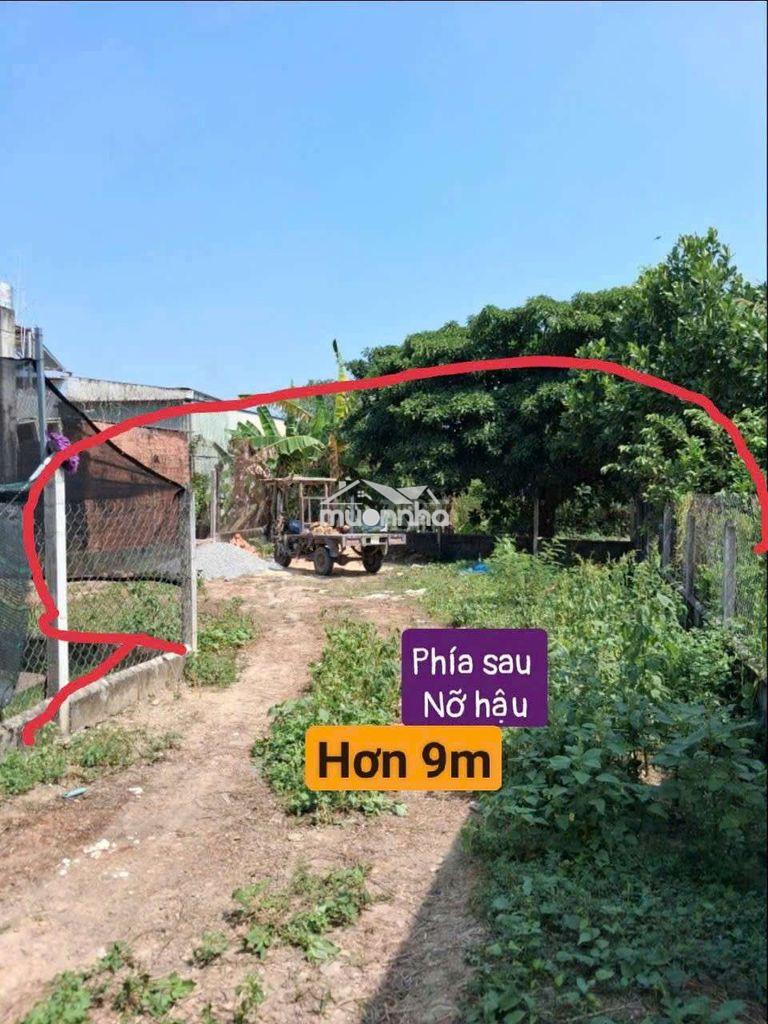Đất chính chủ 231m, thổ 221m. hậu nở 10m, xã phước vĩnh an  - 3