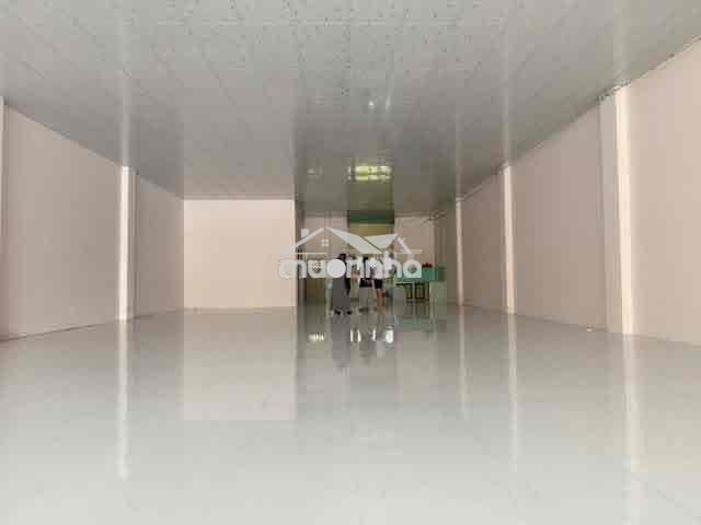 Cho thuê mặt bằng / kho chứa hàng thủ dầu bình dương - 3