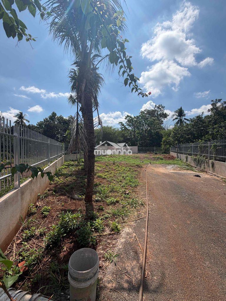 400m2 đất thổ cư , xây nhà vườn - 4