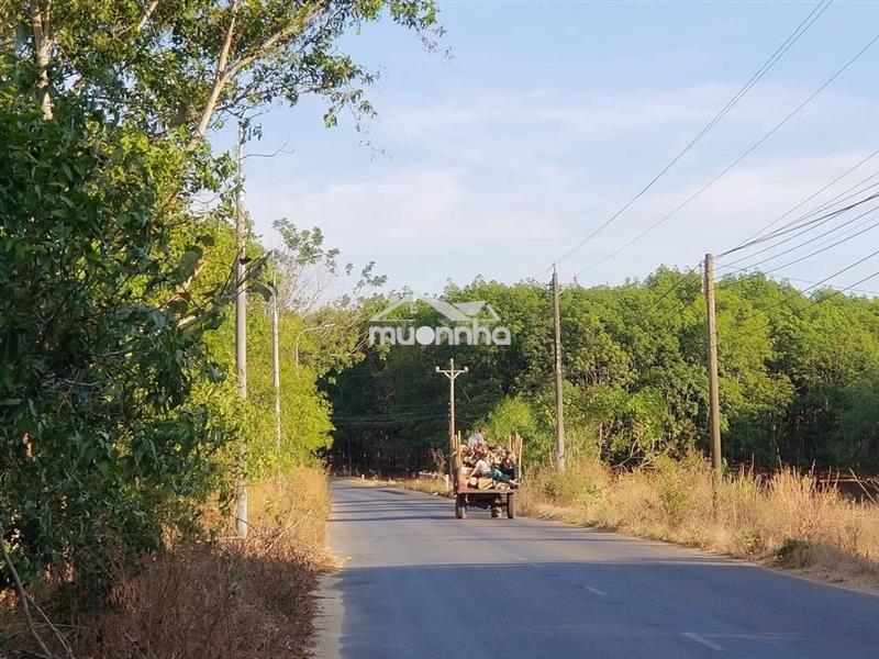 2,85ha đất tại xã xuân thành, huyện xuân lộc, đồng nai