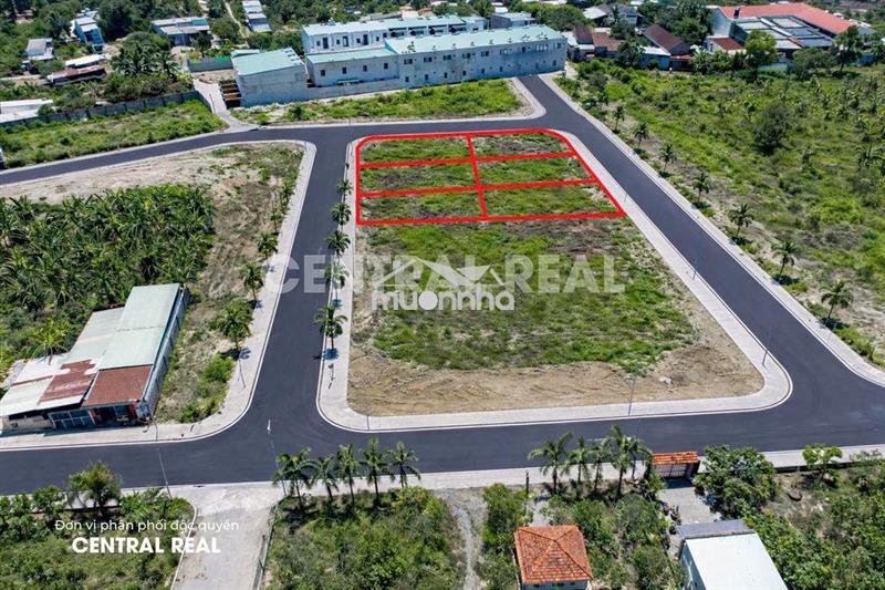Bung giỏ hàng hơn 30 nền liền kề p.tân triều - giá f0 chưa qua đầu tư