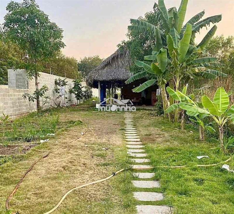 Bán bấp miếng đất