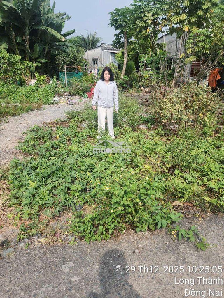 Cổng trước sân bây long thành - 3