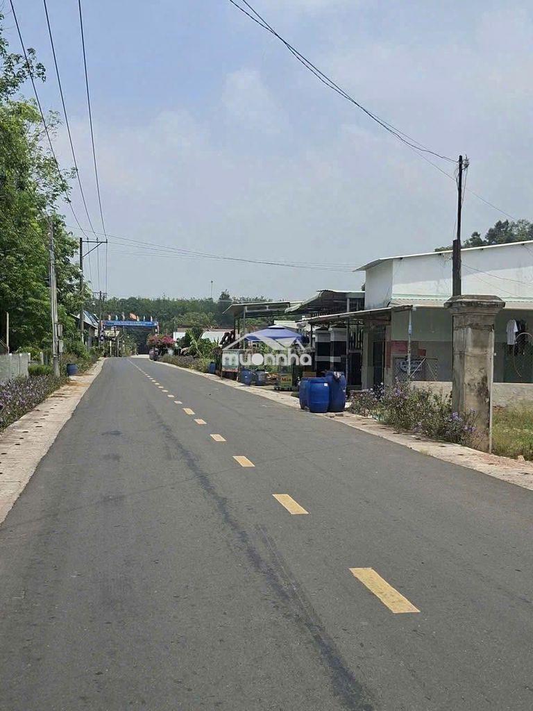 Đất đẹp đầu tư sinh lời 250m2 giá chỉ 550 triệu trừ văn thố bàu bàng  - 2
