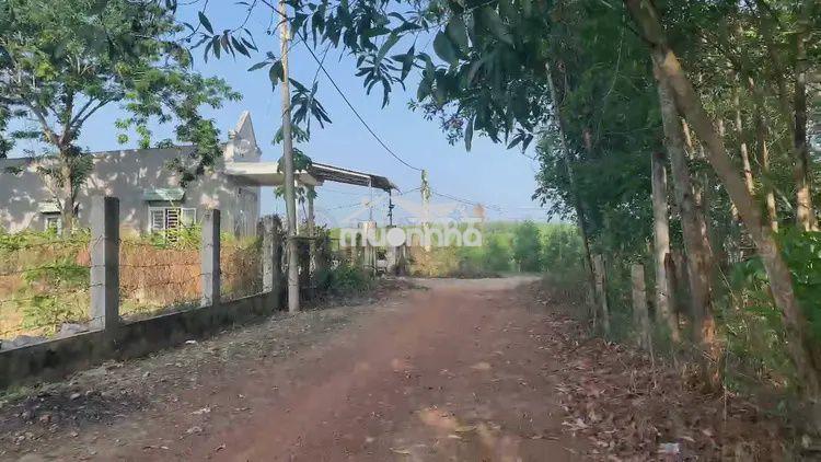 Đất nền thổ cư tại xuân hòa, đồng nai, diện tích 1.822m² - 3
