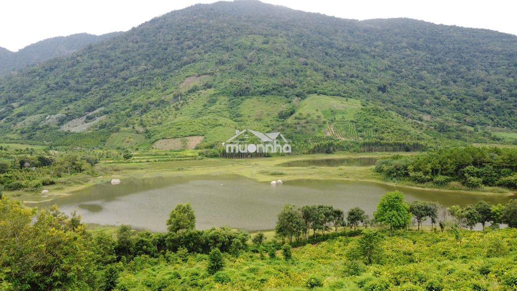Đất view hồ krông bông  ô tô tới đất  đất có tmdv, hợp làm farmstay - 4