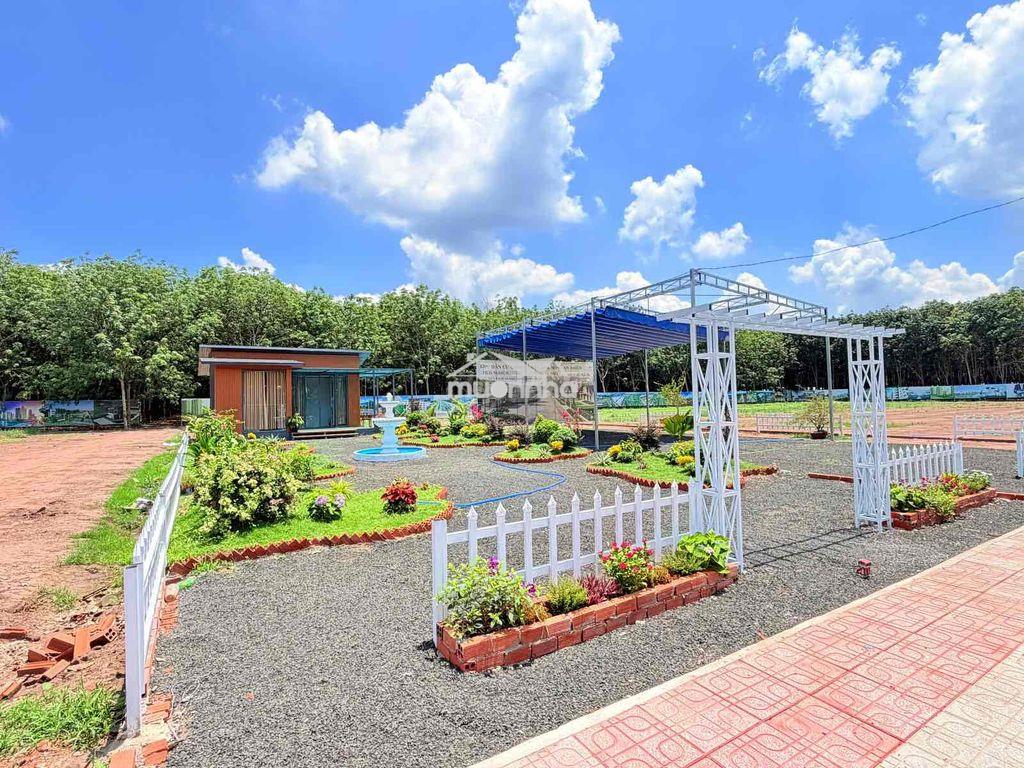 Cần bán gấp đất rẻ, đẹp - 3