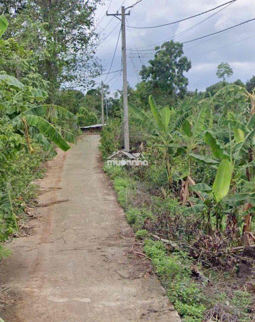 Bán đất 436m2 - quy hoạch thổ cư - giá 950tr - tại quang trung - 3