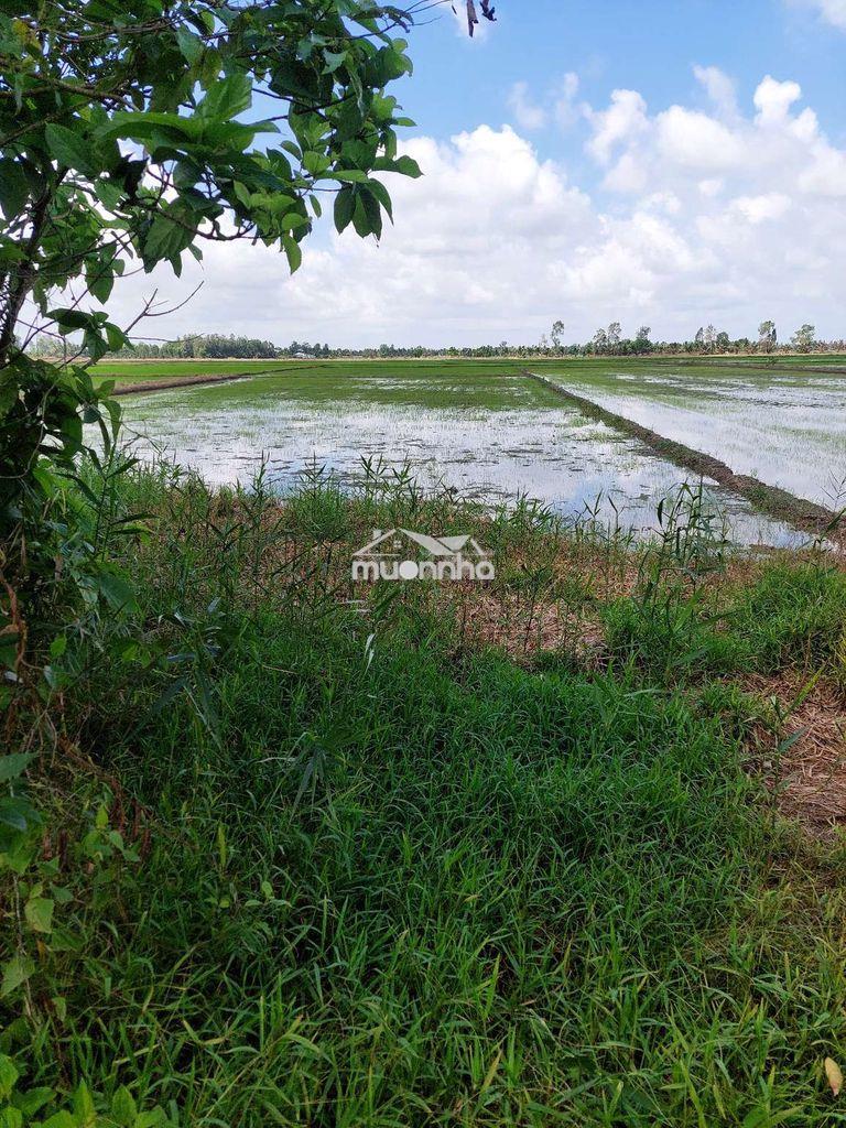 Cần bán nhanh   đất mặt tiền giáp lộ nhựa