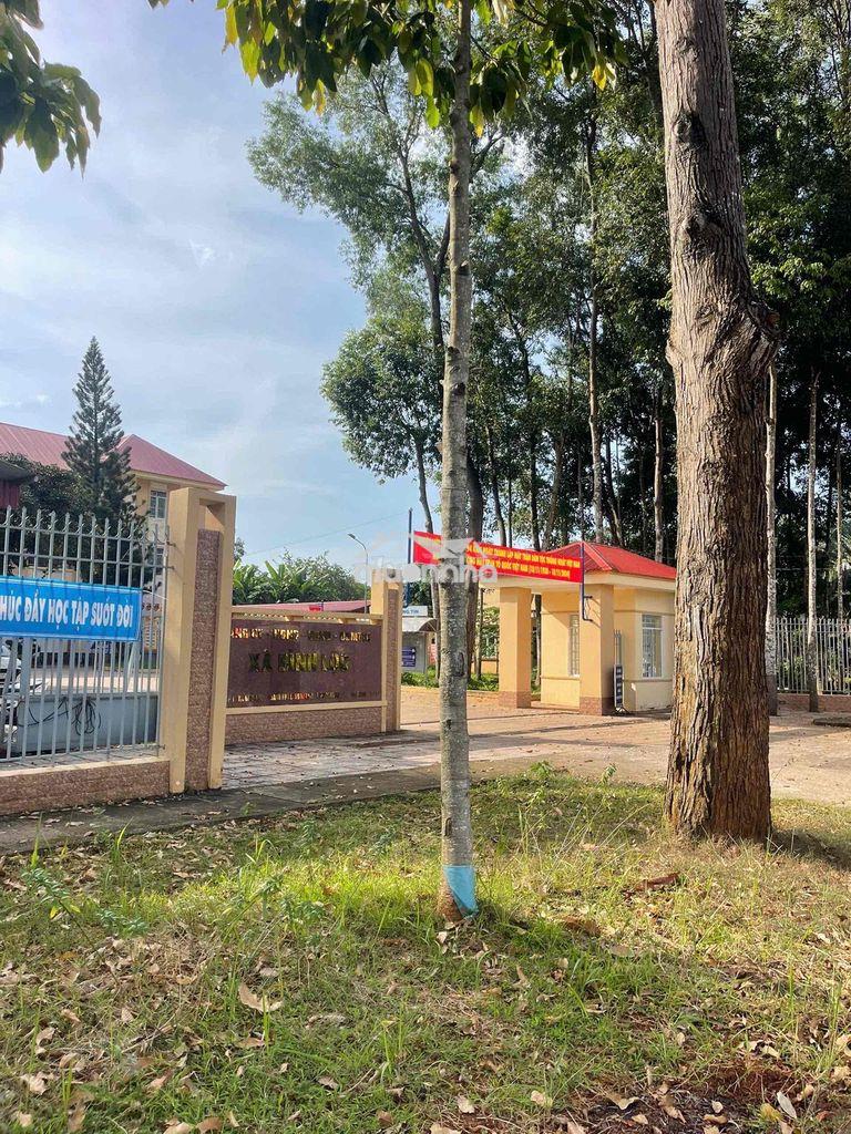 Bán đất 2 mặt tiền đường nhựa kinh doanh câyda giá 1t5