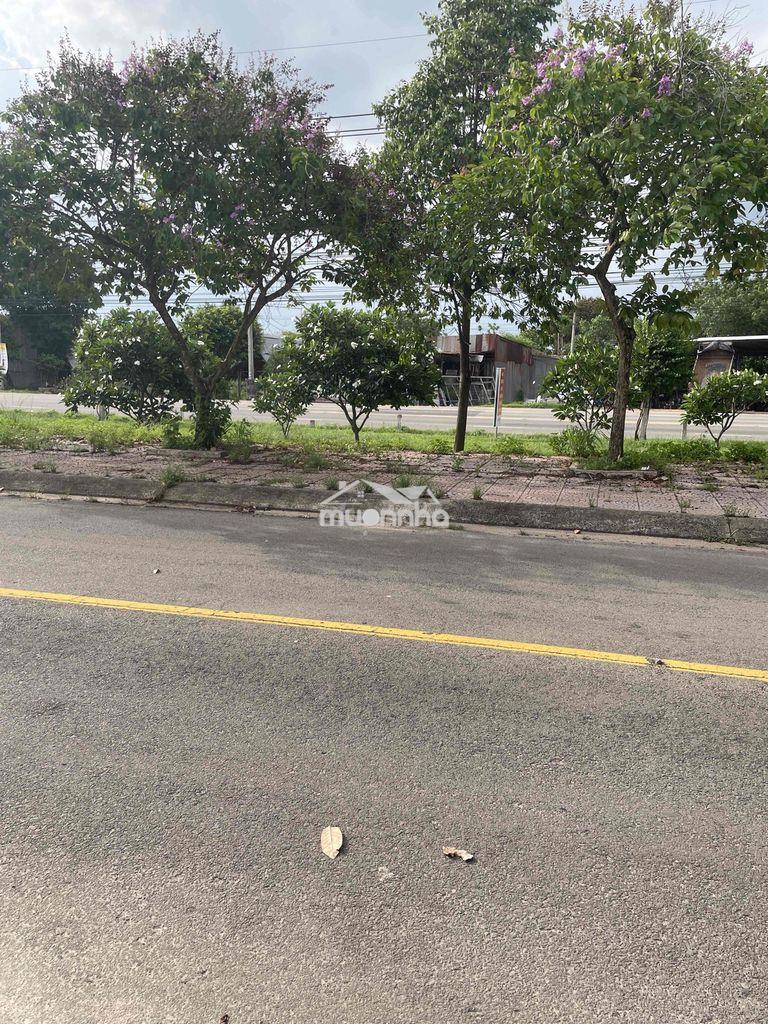 Đat trong khu đô thị kết hợp trồng cây lâu năm