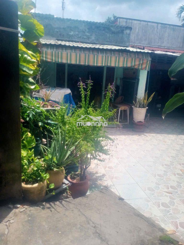     Bán nhà đất 183m² có 3 nhà cấp 4, gần chợ tân phước khánh 2ty9  - 2