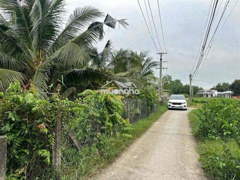 Đất cho chuyển thổ 3mt 1900m2 chỉ 2.25 tỷ vườn dừa tân trụ, long an