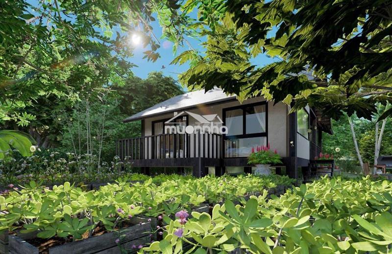 🌿650tr sở hữu ngay đất vườn 1.196m² gần hồ – quy hoạch đất ở nông thôn