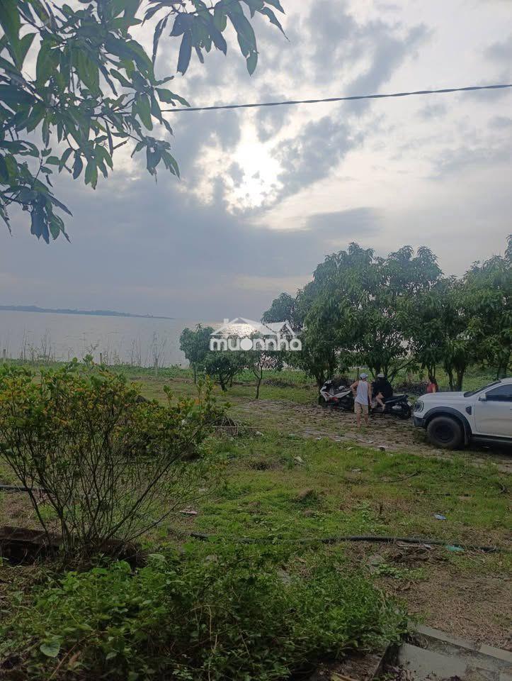 💥 Ôm trọn view hồ trị an 2.100m² – có 100m² thổ cư – chỉ 2 tỷ - 3