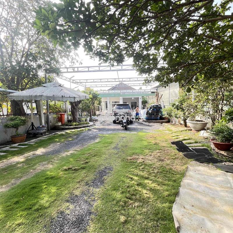 🏡Bán nhà vườn🏡 mặt tiền nhựa an thạnh thuận an bình dương